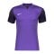 Nike Trophy V Trikot Lila F547 - lila