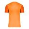 Nike Trophy V Trikot Orange F819 - orange
