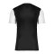 Nike Trophy V Trikot Schwarz F010 - schwarz