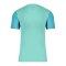 Nike Trophy V Trikot Türkis F354 - tuerkis