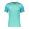 Nike Trophy V Trikot Türkis F354 - tuerkis