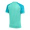 Nike Trophy VI Trikot Grün F354 - gruen