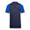 Nike Trophy VI Trikot Kids Blau F410 - blau