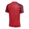 Nike Trophy VI Trikot Rot F657 - rot