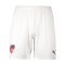 PUMA 1.FC Heidenheim Short 3rd 2025/2026 Weiss F04 - weiss