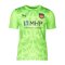 PUMA 1. FC Heidenheim Torwarttrikot Kids 2025/2026 Grün F20 - gruen