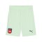 PUMA 1. FC Heidenheim TW-Short 2024/2025 Grün F60 - gruen