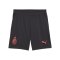 PUMA AC Mailand Short 2026/2027 Grau F03 - grau