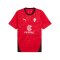PUMA AC Mailand Trainingsshirt Rot F01 - rot