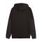 PUMA Borussia Dortmund Fz Hoody Schwarz F10 - schwarz