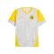 PUMA Borussia Dortmund Trainingsshirt Grau F18 - grau