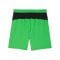 PUMA Borussia Mönchengladbach Short Away 2025/2026 Grün F02 - gruen