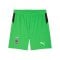 PUMA Borussia Mönchengladbach Short Away 2025/2026 Grün F02 - gruen