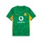 PUMA Borussia Dortmund SS Torwarttrikot 2025/2026 Grün F98 - gruen