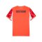 PUMA Borussia Dortmund SS Torwarttrikot 2025/2026 Rot F99 - rot