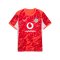 PUMA Borussia Dortmund SS Torwarttrikot 2025/2026 Rot F99 - rot