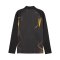 PUMA Borussia Dortmund Warm Up 1/4 Zip Top Schwarz F07 - schwarz