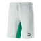 PUMA Classics Block Short Grau F080 - grau
