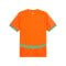 PUMA FIF Elfenbeinküste Trikot Home 2025 Orange F01 - orange