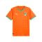 PUMA FIF Elfenbeinküste Trikot Home 2025 Orange F01 - orange