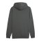 PUMA Essentials Big Logo Hoody Grau F069 - grau