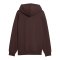 PUMA FC St. Pauli Graphic Hoody Braun F01 - braun