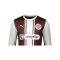 PUMA FC St. Pauli Trikot Langarm Sonder 2026/2027 Braun F01 - braun