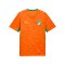PUMA FIF Elfenbeinküste Trikot Home WM 2026 Orange F01 - orange