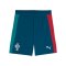 PUMA FPF Portugal Training Short Blau F15 - blau