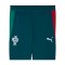 PUMA FPF Portugal Trainingshose Blau F15 - blau