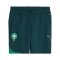 PUMA FRMF Marokko Pumatech Jogginghose Grün F13 - gruen