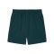 PUMA FRMF Marokko Pumatech Woven Short Grün F13 - gruen