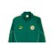 PUMA FSF Senegal KING Anthem Jacke Grün F20 - gruen
