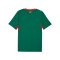 PUMA FSF Senegal Trikot Away WM 2026 Grün F02 - gruen