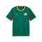PUMA FSF Senegal Trikot Away WM 2026 Grün F02 - gruen