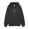 PUMA Galatasaray Istanbul ftblCulture Relaxed Hoody Grau F19 - grau