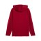 PUMA Galatasaray Istanbul Evostripe Kapuzenjacke Rot F01 - rot