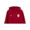 PUMA Galatasaray Istanbul Evostripe Kapuzenjacke Rot F01 - rot