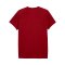 PUMA Galatasaray Istanbul Evostripe T-Shirt Rot F01 - rot