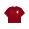PUMA Galatasaray Istanbul Evostripe T-Shirt Rot F01 - rot