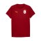 PUMA Galatasaray Istanbul Evostripe T-Shirt Rot F01 - rot