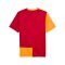 PUMA Galatasaray Istanbul Fan Trikot Home Orange F01 - orange