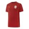 PUMA Galatasaray Istanbul T-Shirt Rot F01 - rot
