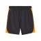PUMA Galatasaray Istanbul Training Short Grau F06 - grau