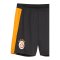 PUMA Galatasaray Istanbul Training Short Grau F06 - grau