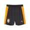PUMA Galatasaray Istanbul Training Short Grau F06 - grau