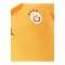 PUMA Galatasaray Istanbul Training T-Shirt Gelb F202 - gelb