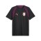 PUMA Galatasaray Istanbul Training Trikot Grau F05 - grau
