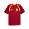 PUMA Galatasaray Istanbul Training Trikot Rot F01 - rot