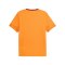 PUMA Galatasaray Istanbul Trainingsshirt Orange F006 - orange